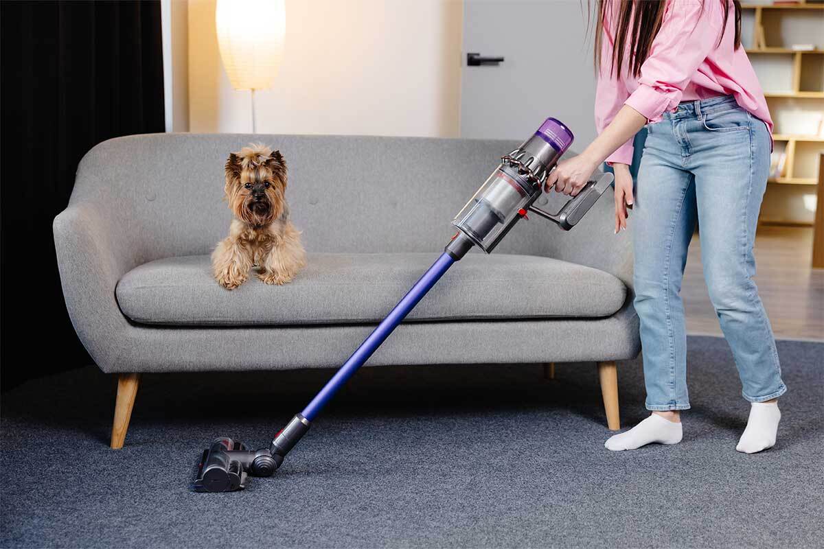 Pulizia casa con animali domestici e aspirazione dei peli